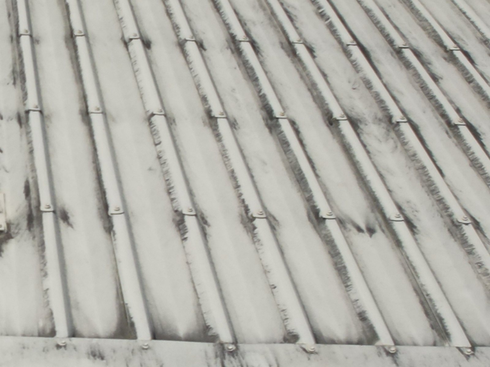Visual frame of corrugated metal roof sheeting with fixings and laps, from above
